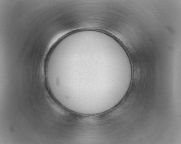 X0000115301078200911231304