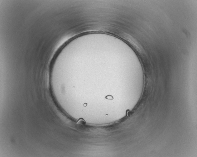 X0000115301079200911231304