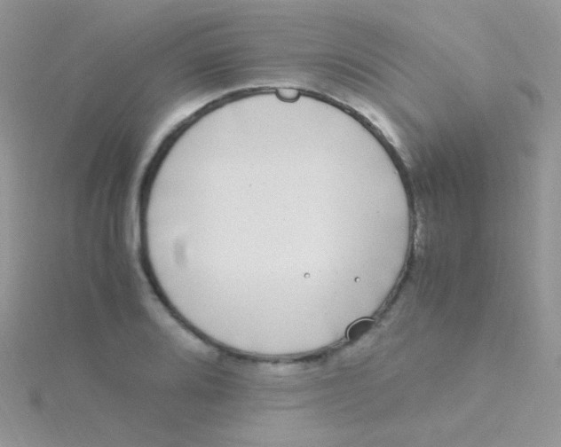 X0000115301080200911231304