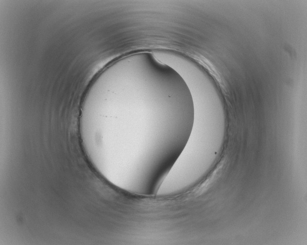 X0000115301081200911231304