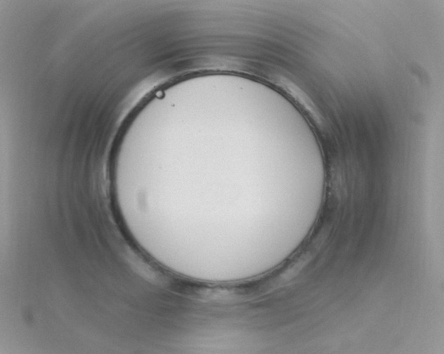 X0000115301082200911231304