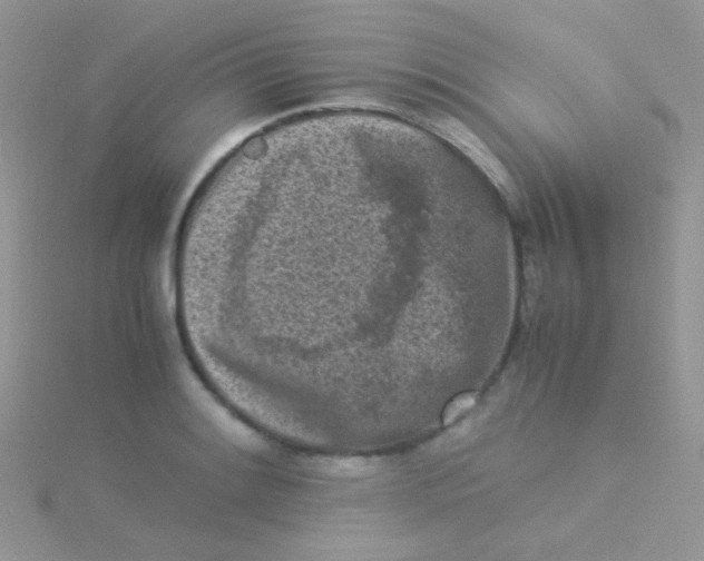 X0000115301084200911231304