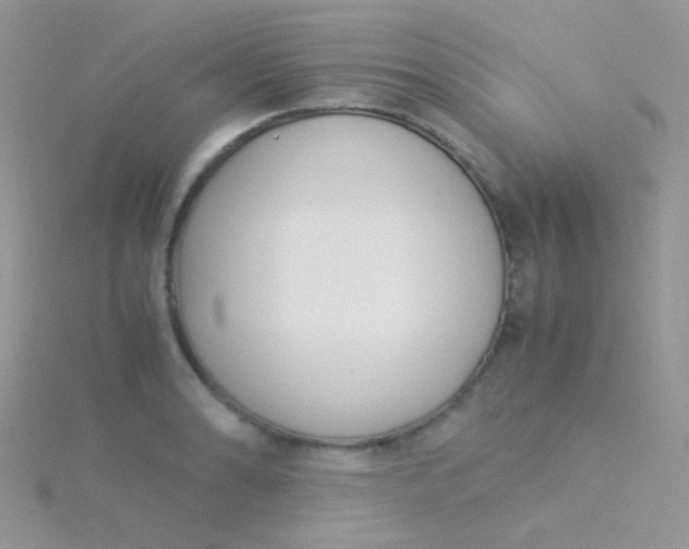 X0000115301086200911231304