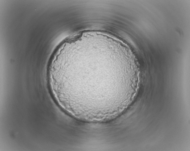 X0000115301087200911231304