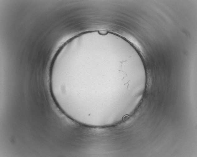 X0000115301088200911231304