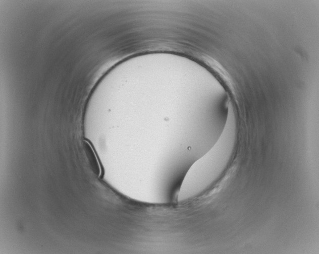 X0000115301089200911231304