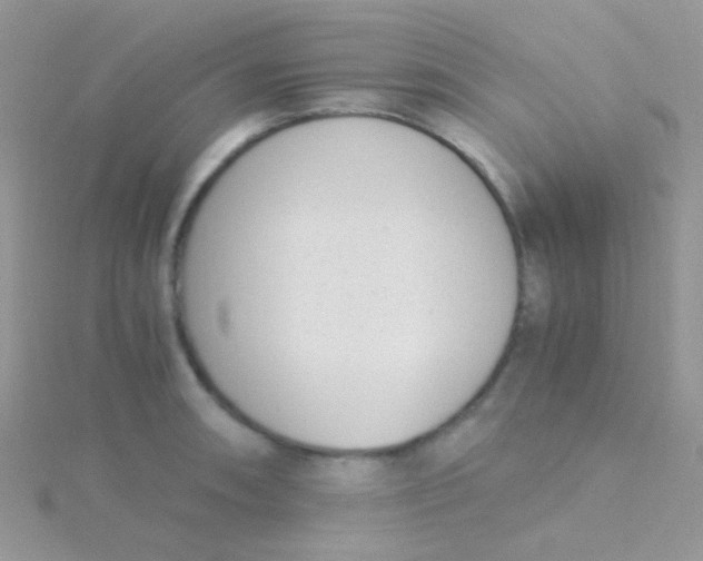 X0000115301090200911231304