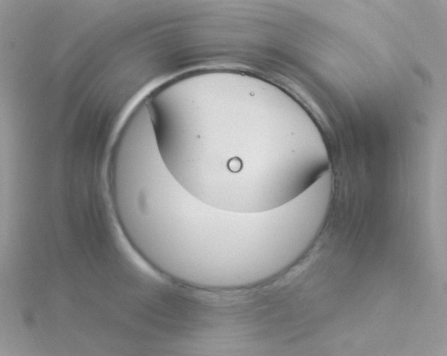 X0000115301092200911231304