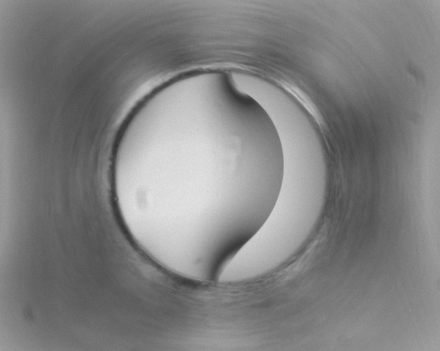 X0000115301093200911231304