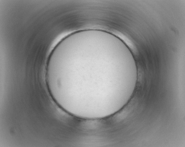 X0000115301094200911231304