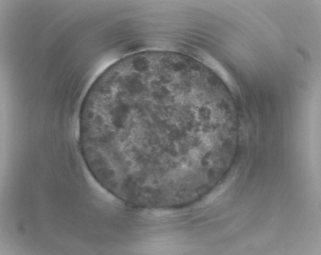 X0000115301095200911231304