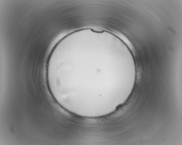 X0000115301096200911231304