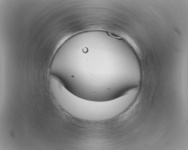 X0000115301097200911231304