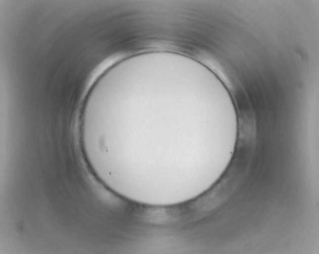 X0000115301098200911231304