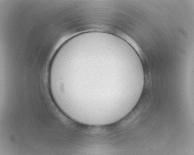 X0000115301099200911231304