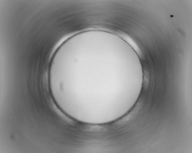 X0000115301100200911231304