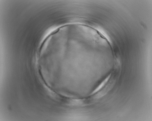 X0000115301101200911231304