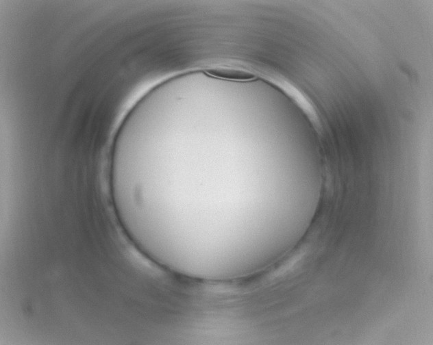 X0000115301102200911231304