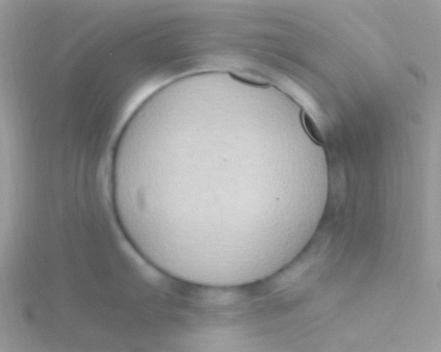 X0000115301103200911231304