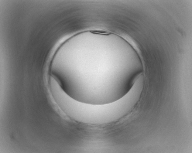 X0000115301104200911231304