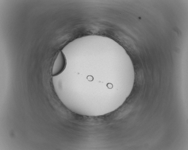 X0000115301105200911231303