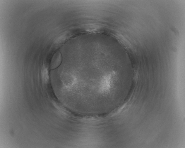 X0000115301106200911231303