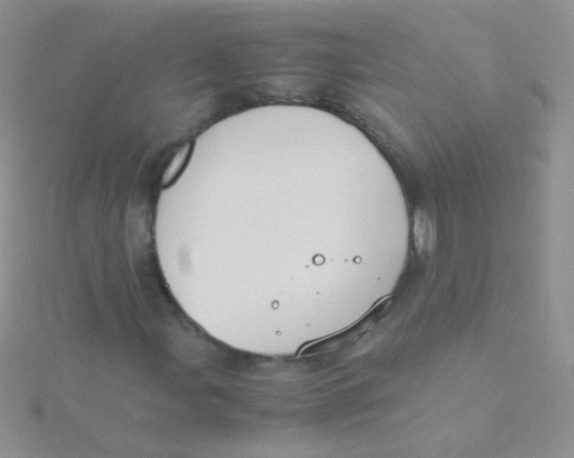 X0000115301107200911231303