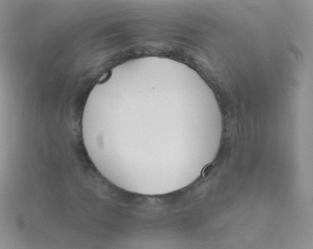 X0000115301109200911231303