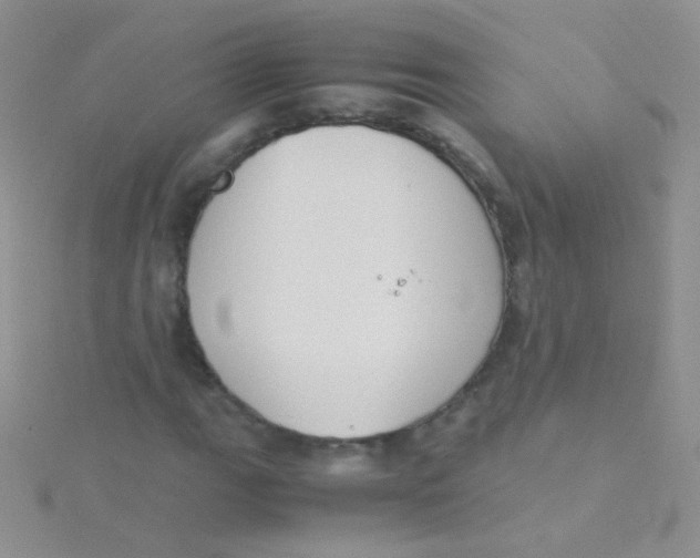 X0000115301111200911231303