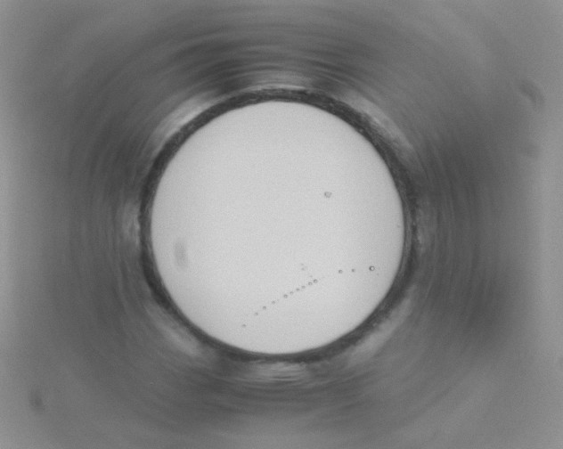 X0000115301113200911231303