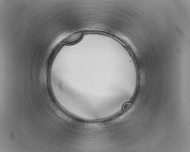 X0000115301114200911231303