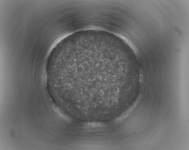 X0000115301117200911231303