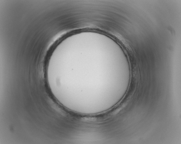 X0000115301118200911231304