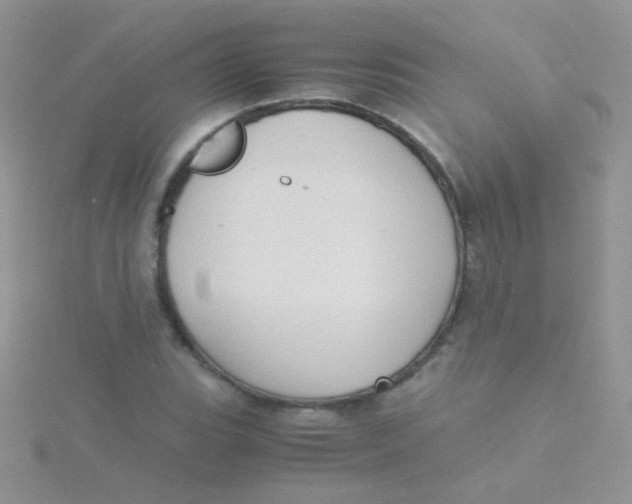 X0000115301119200911231304