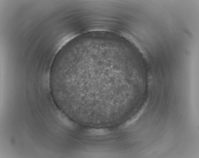 X0000115301121200911231304