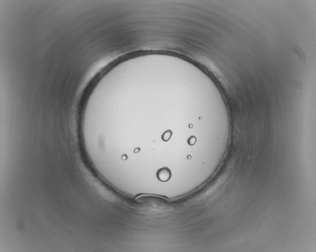 X0000115301122200911231304