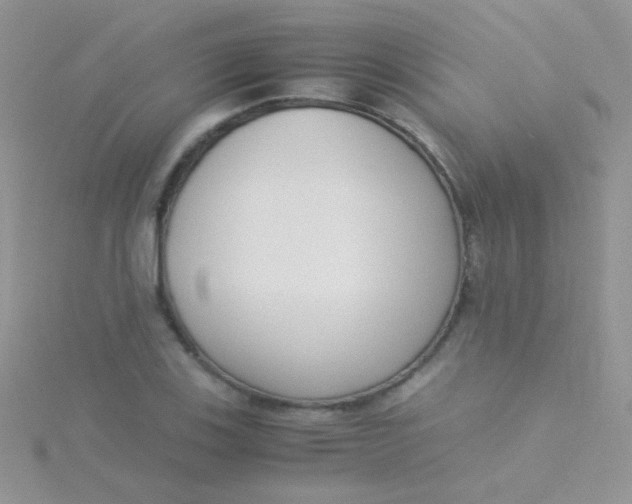 X0000115301123200911231304