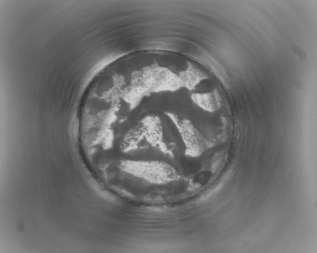 X0000115301125200911231304