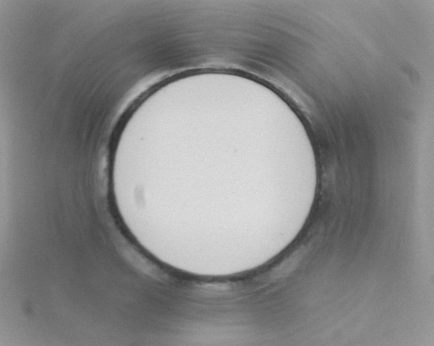 X0000115301126200911231304