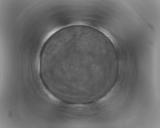 X0000115301127200911231304