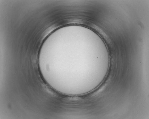 X0000115301129200911231304