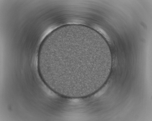 X0000115301130200911231304