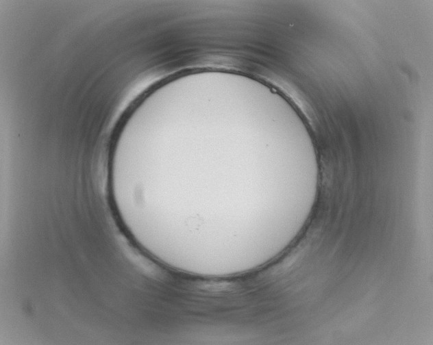 X0000115301131200911231304