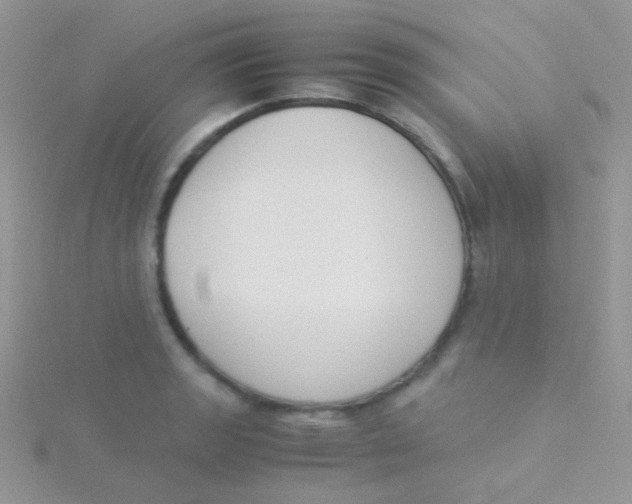 X0000115301133200911231304