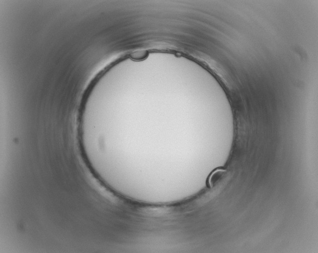 X0000115301134200911231304