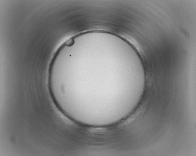 X0000115301135200911231304