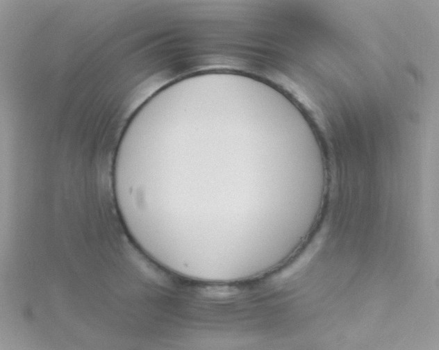 X0000115301137200911231304