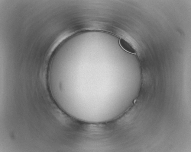 X0000115301138200911231304