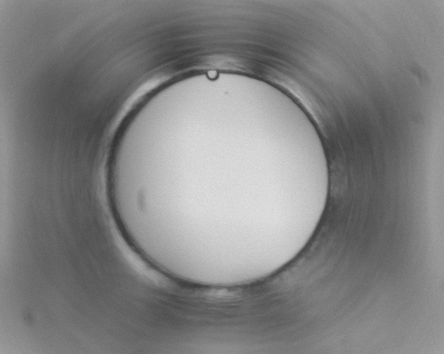 X0000115301139200911231304