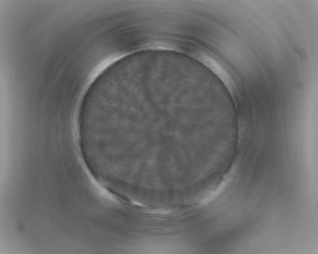 X0000115301141200911231304